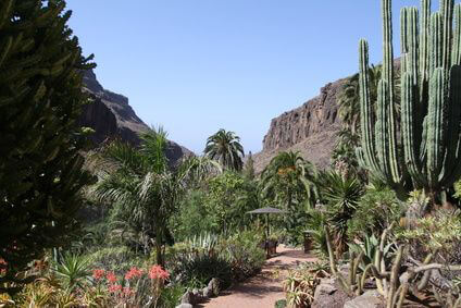 Gran Canaria scenery 